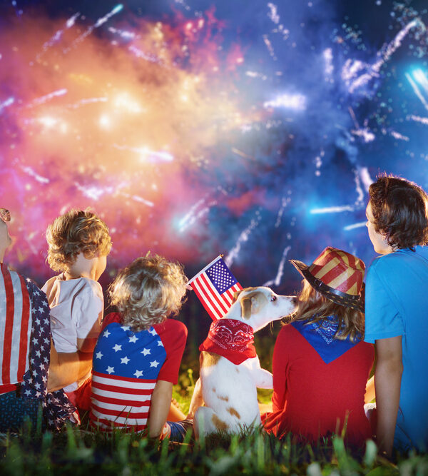 Fireworks safety - American family celebrating Independence Day. Picnic and fireworks on 4th of July - children sitting on ground watching fireworks celebration in big blue sky.